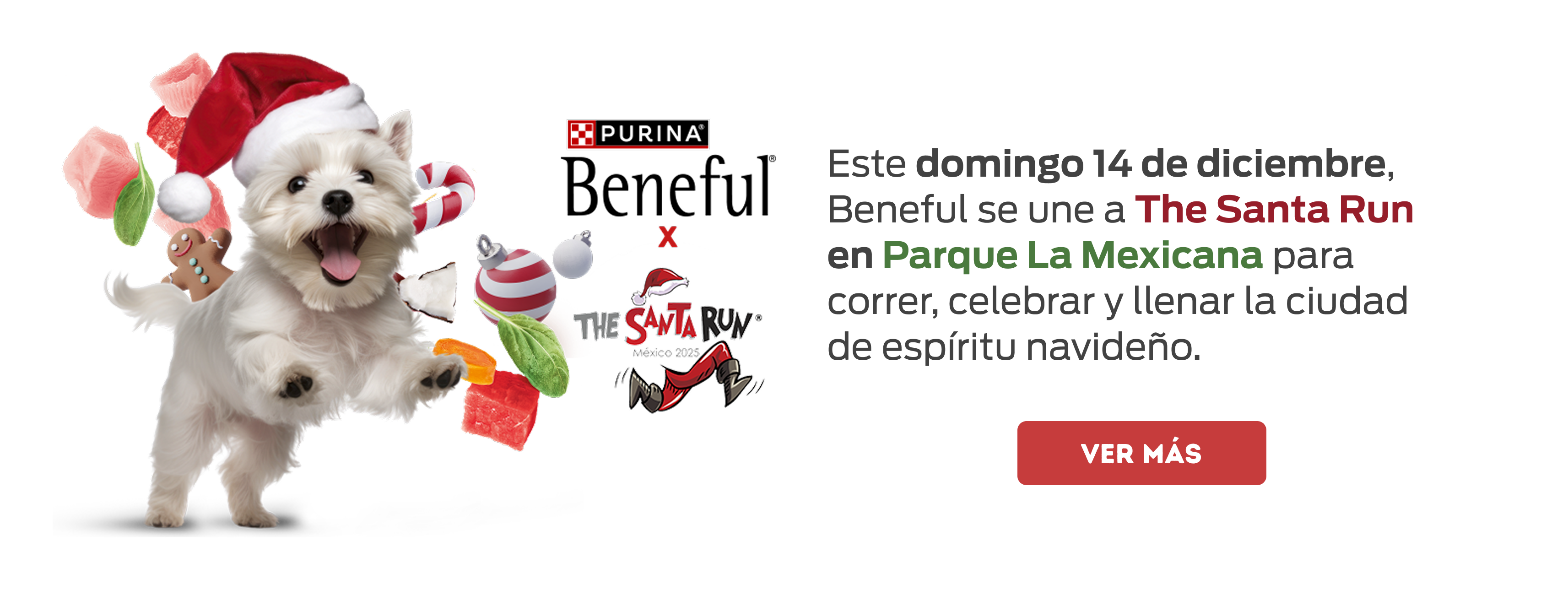 banner-register-desktop