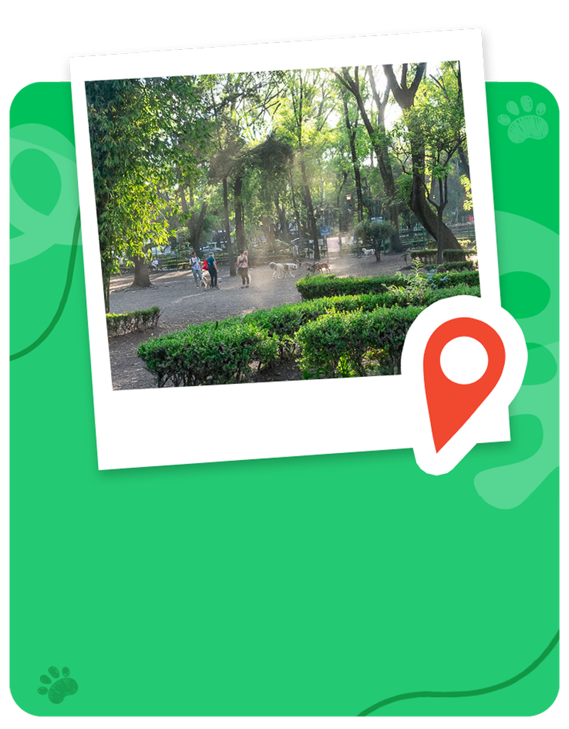 img-location-03