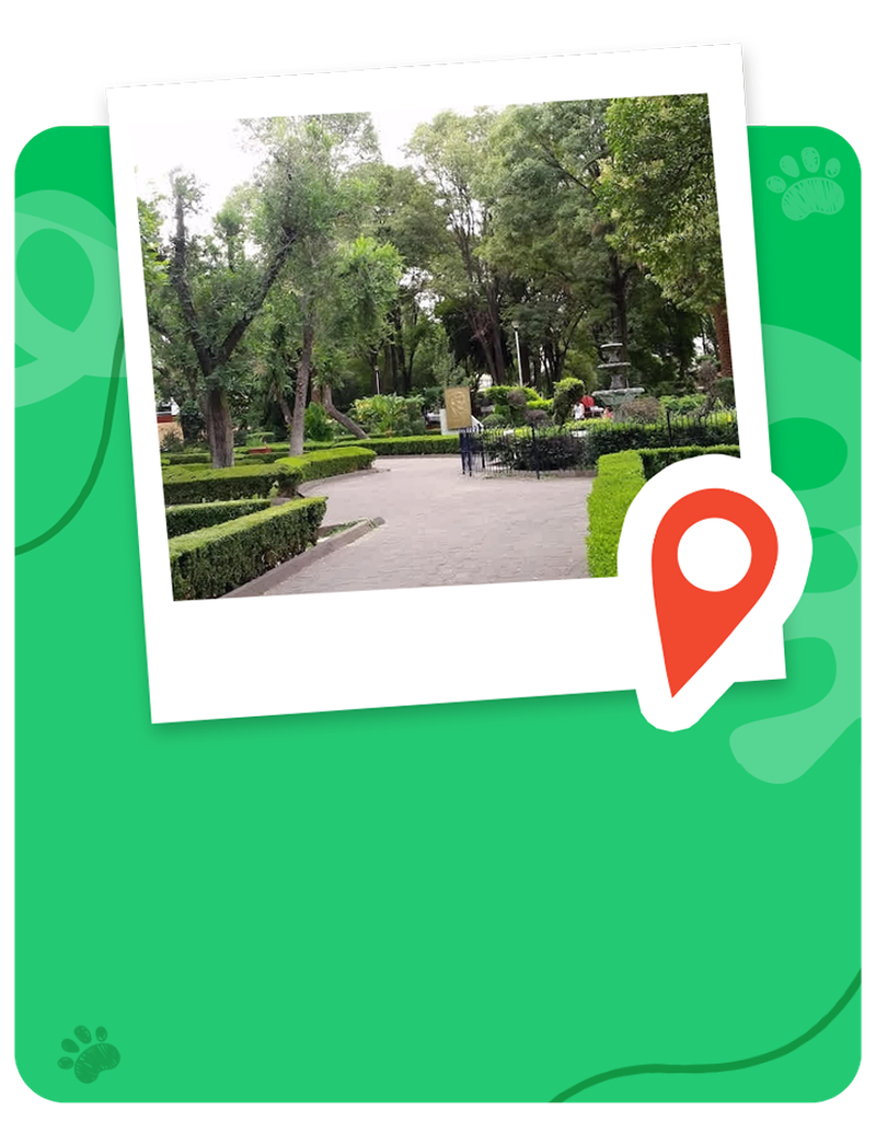 img-location-04