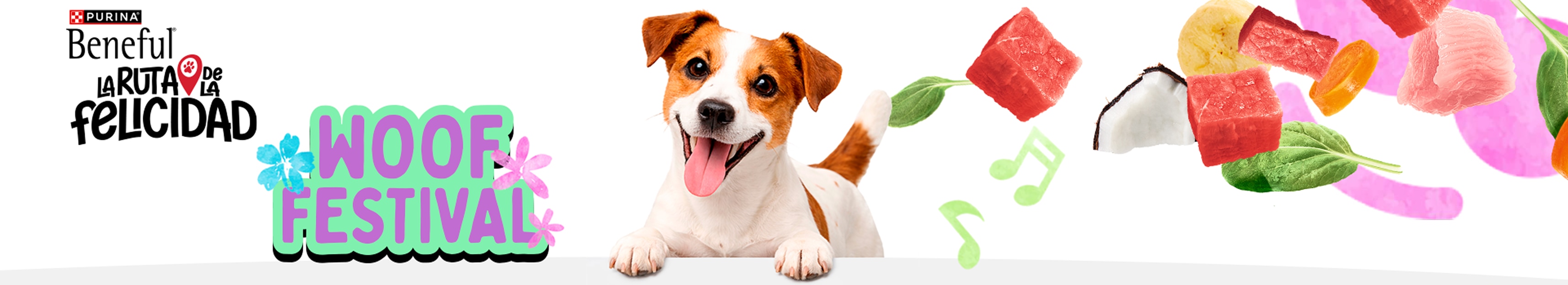 routeOfHappiness-registro-desktop