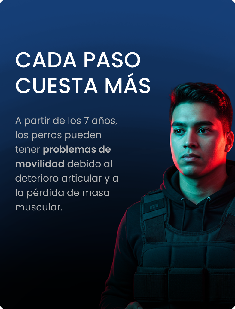 card03-back