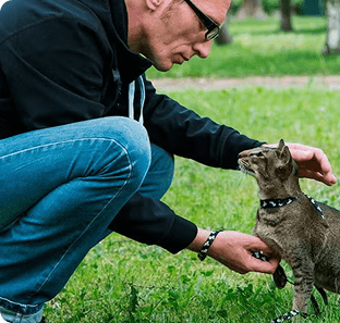 Hombre acariciando a un gato