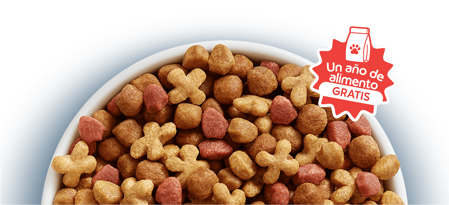 Cat Chow Purina, alimento para gatos