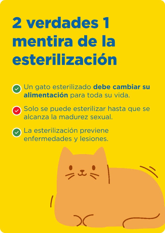 Cat Chow Purina, alimento para gatos