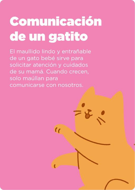 Cat Chow Purina, alimento para gatos