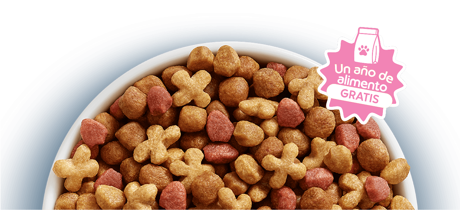 Cat Chow Purina, alimento para gatos