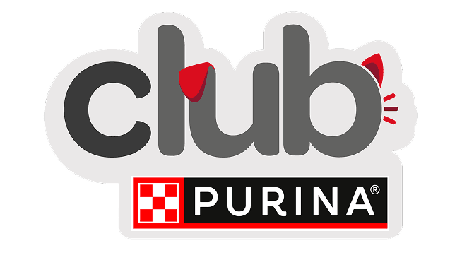 Cat Chow Purina, alimento para gatos
