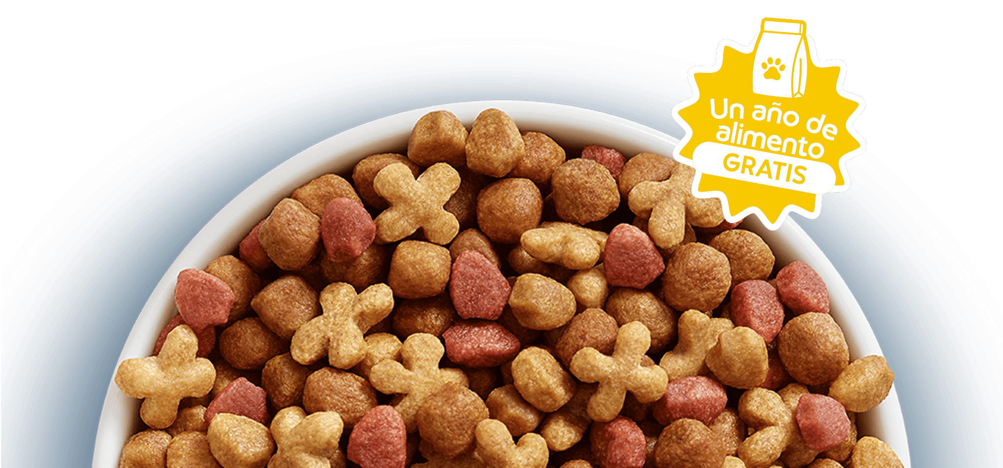 Cat Chow Purina, alimento para gatos
