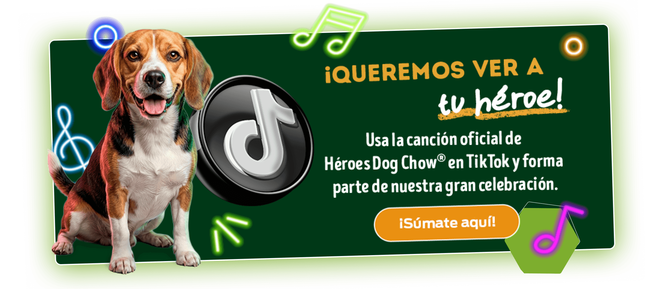 Dog Chow Purina, alimento para perros
