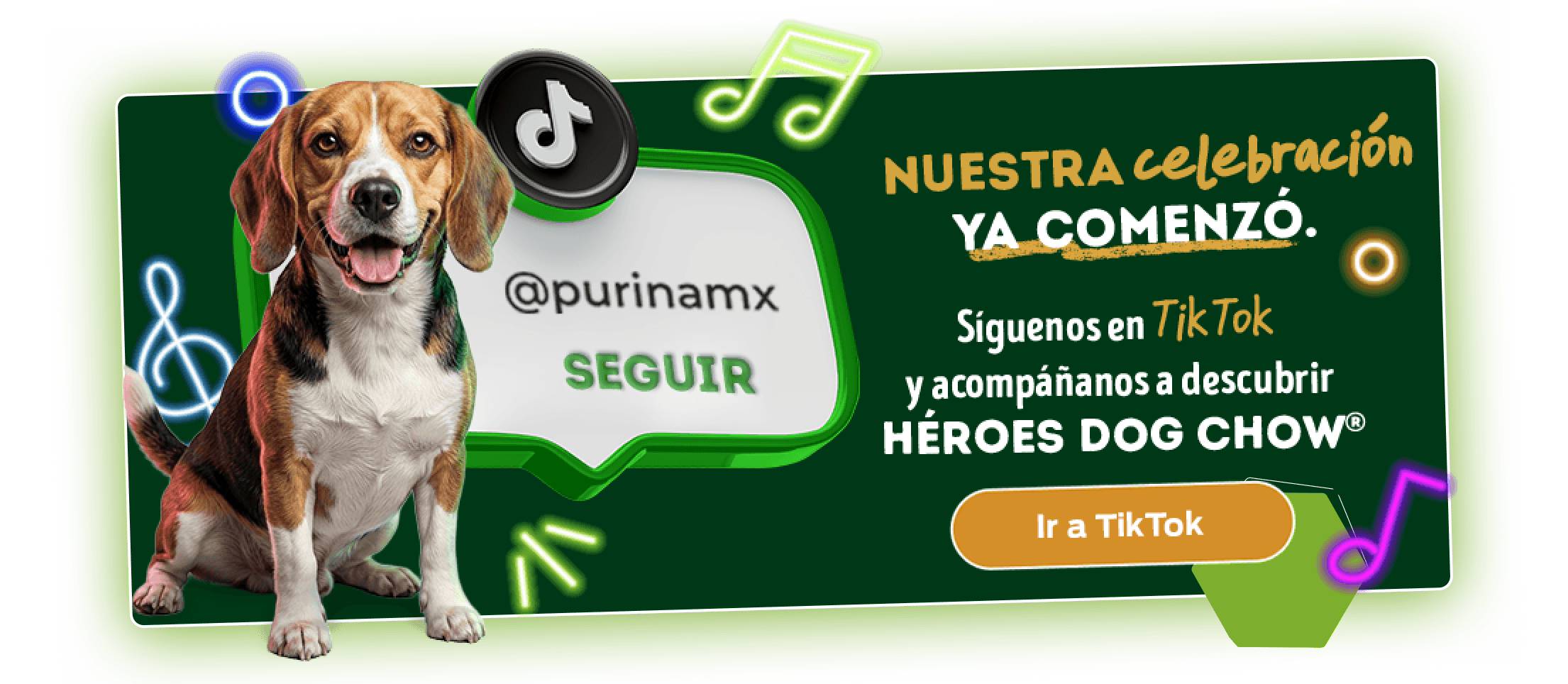 Dog Chow Purina, alimento para perros