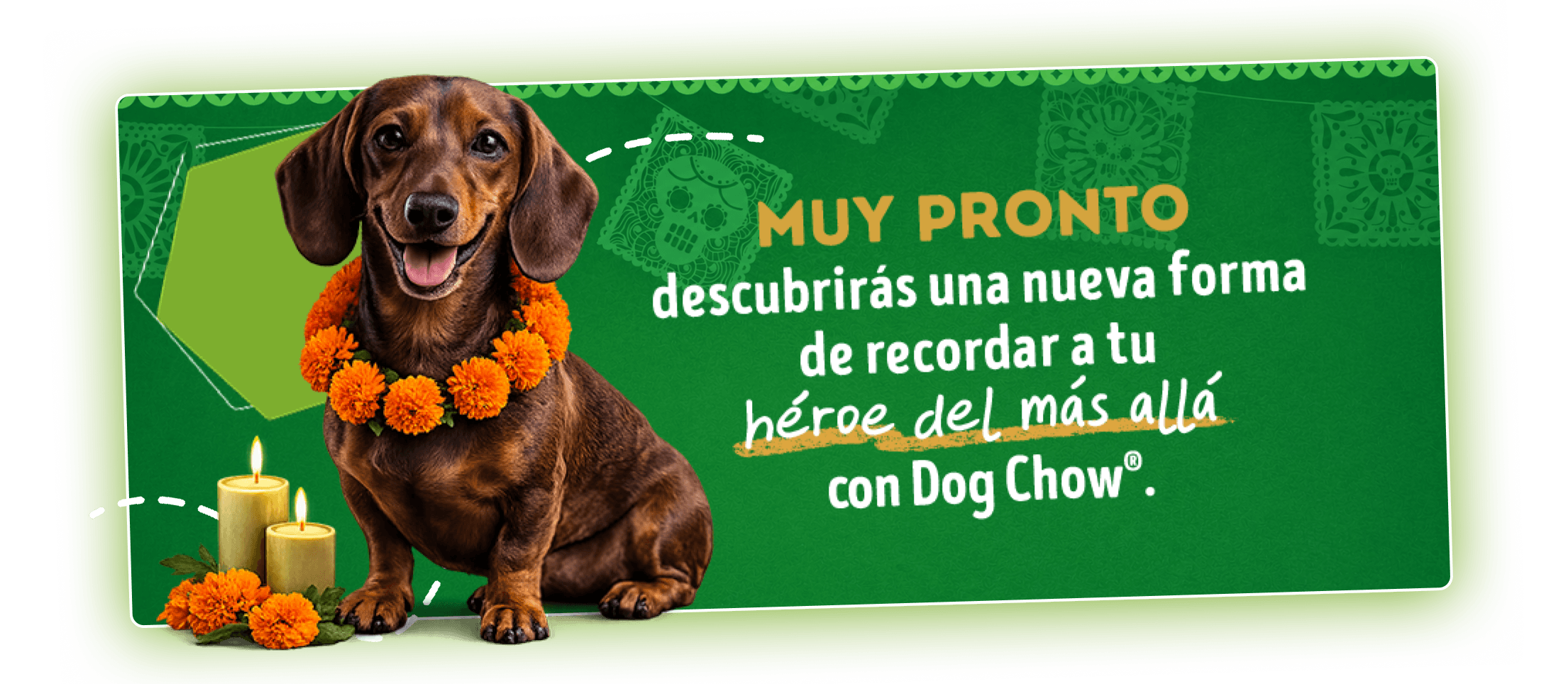 Dog Chow Purina, alimento para perros
