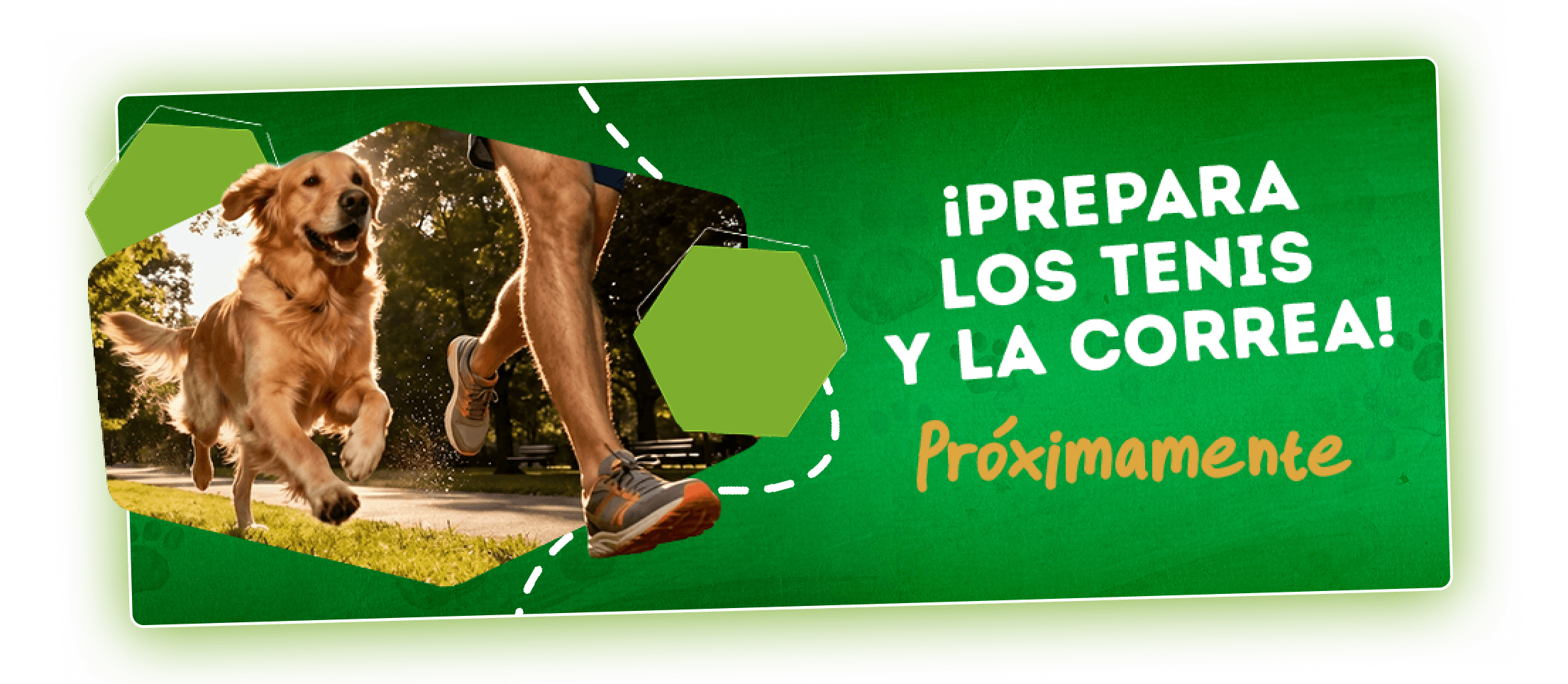 Dog Chow Purina, alimento para perros