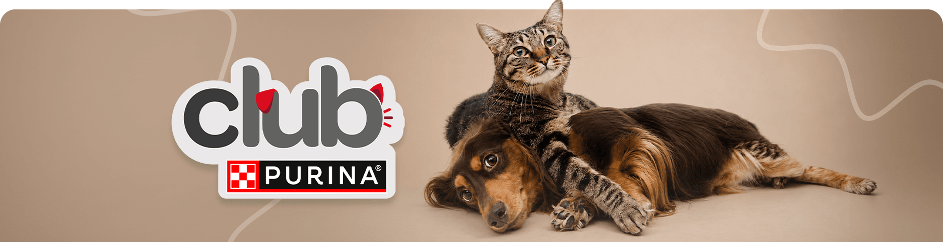 Dog Chow Purina, alimento para perros