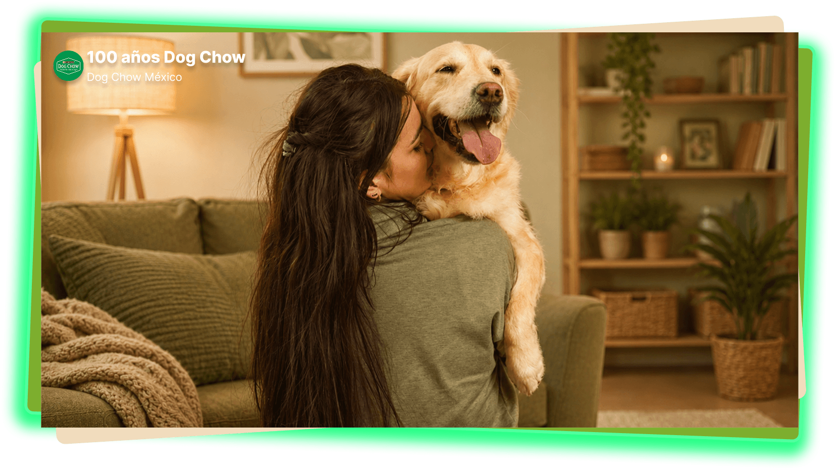 Dog Chow Purina, alimento para perros
