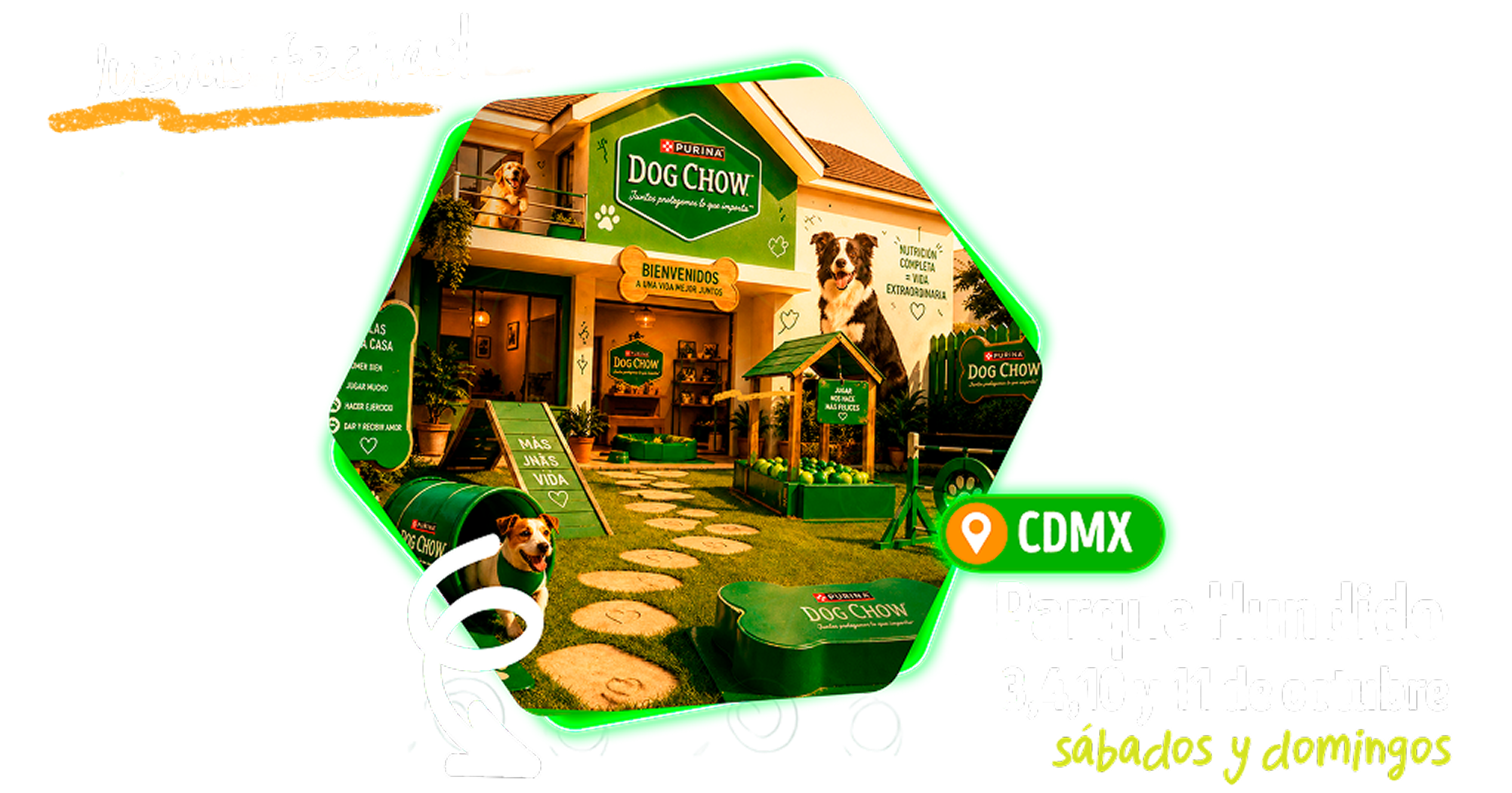 Dog Chow Purina, alimento para perros